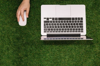 Three immediate ways to kick-start your sustainability goals